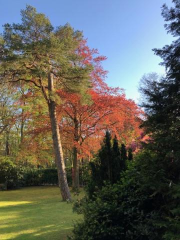 Bed & Breakfast De Rode Beuk *